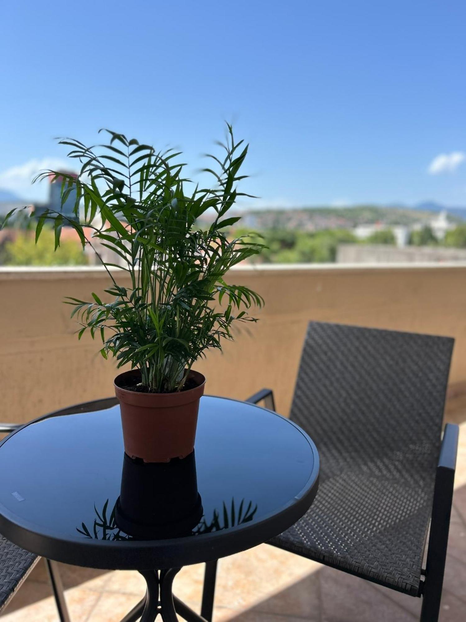 Hotel Bojatours بودغوريتْسا المظهر الخارجي الصورة
